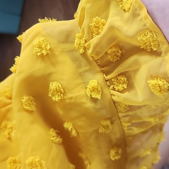 Tacera  Yellow Textured Swiss dot Dress size XL - Picture 7 of 8